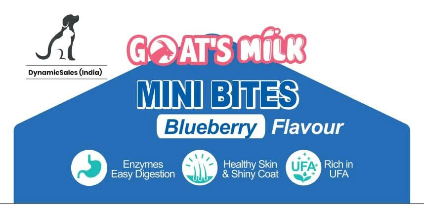 DynamicSales (India) Hypoallergenic Dog Treats – Healthy Skin & Coat Mini Bites, Blueberry Flavour - dspetstore.com