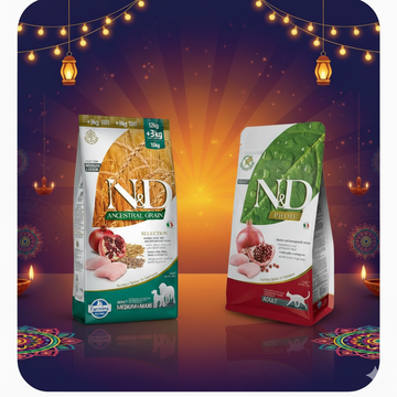 Two N&D pet food packages on a festive background with lights and lanterns.