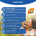 Farmina N&D Pumpkin Lamb & Blueberry Grain Free Adult Medium Maxi Dog Dry Food - dspetstore.com