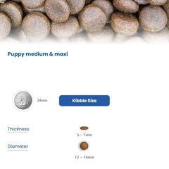 Farmina N&D Pumpkin Lamb & Blueberry Grain Free Adult Medium Maxi Dog Dry Food - dspetstore.com