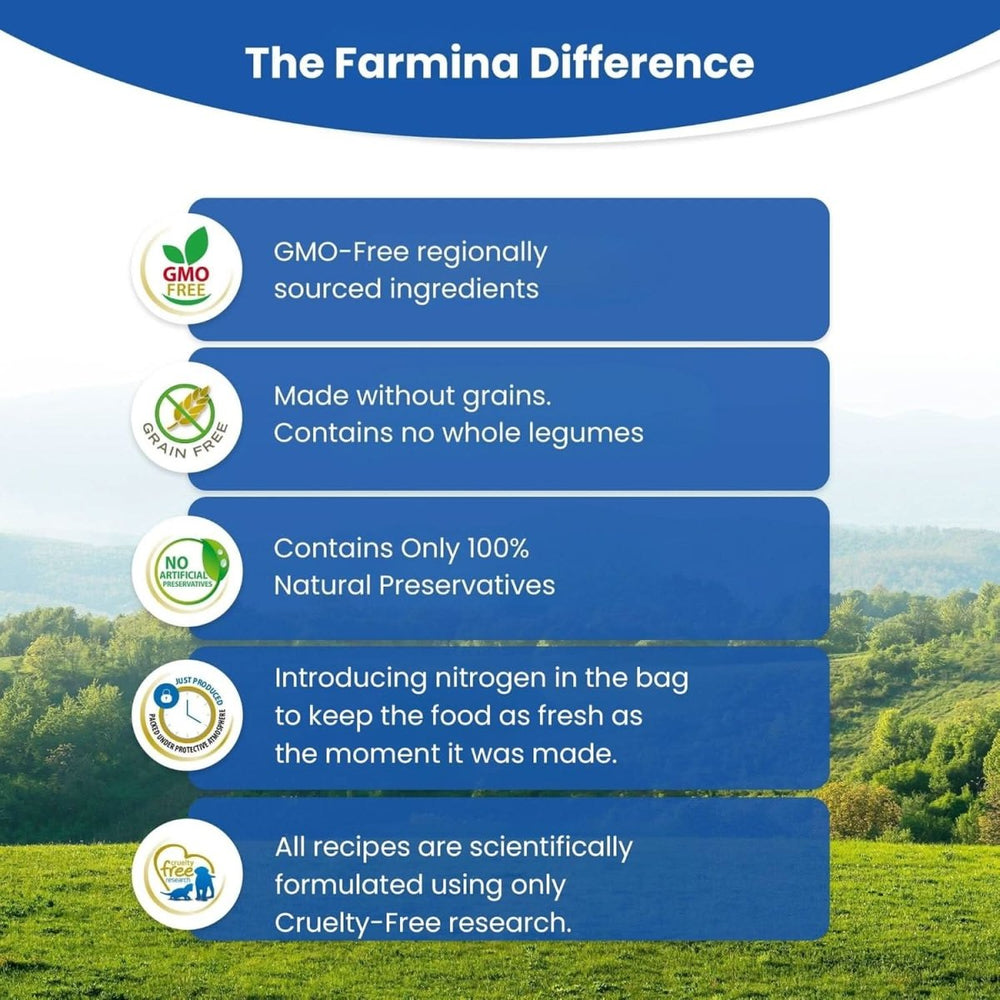 Farmina N&D Pumpkin Lamb & Blueberry Grain Free Adult Medium Maxi Dog Dry Food - dspetstore.com