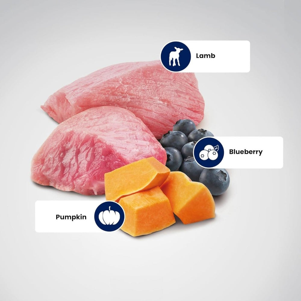 Farmina N&D Pumpkin Lamb & Blueberry Grain Free Adult Medium Maxi Dog Dry Food - dspetstore.com