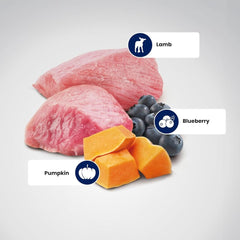 Farmina N&D Pumpkin Lamb & Blueberry Grain Free Adult Medium Maxi Dog Dry Food - dspetstore.com