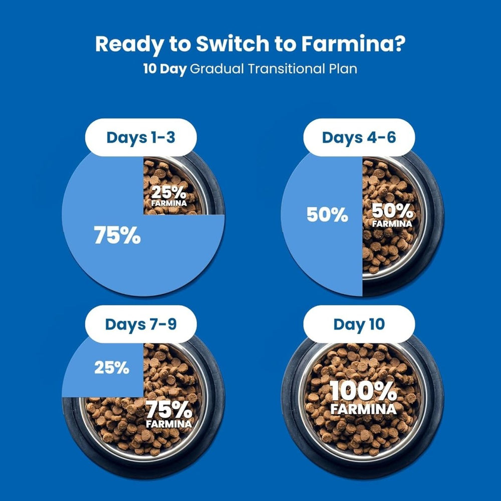 Farmina N&D Pumpkin Lamb & Blueberry Grain Free Adult Medium Maxi Dog Dry Food - dspetstore.com