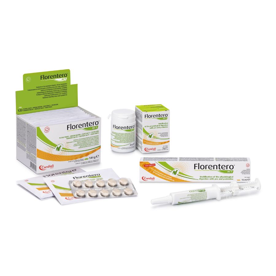 Pet tummy help, Candioli Florentero Act, good bacteria for digestion.