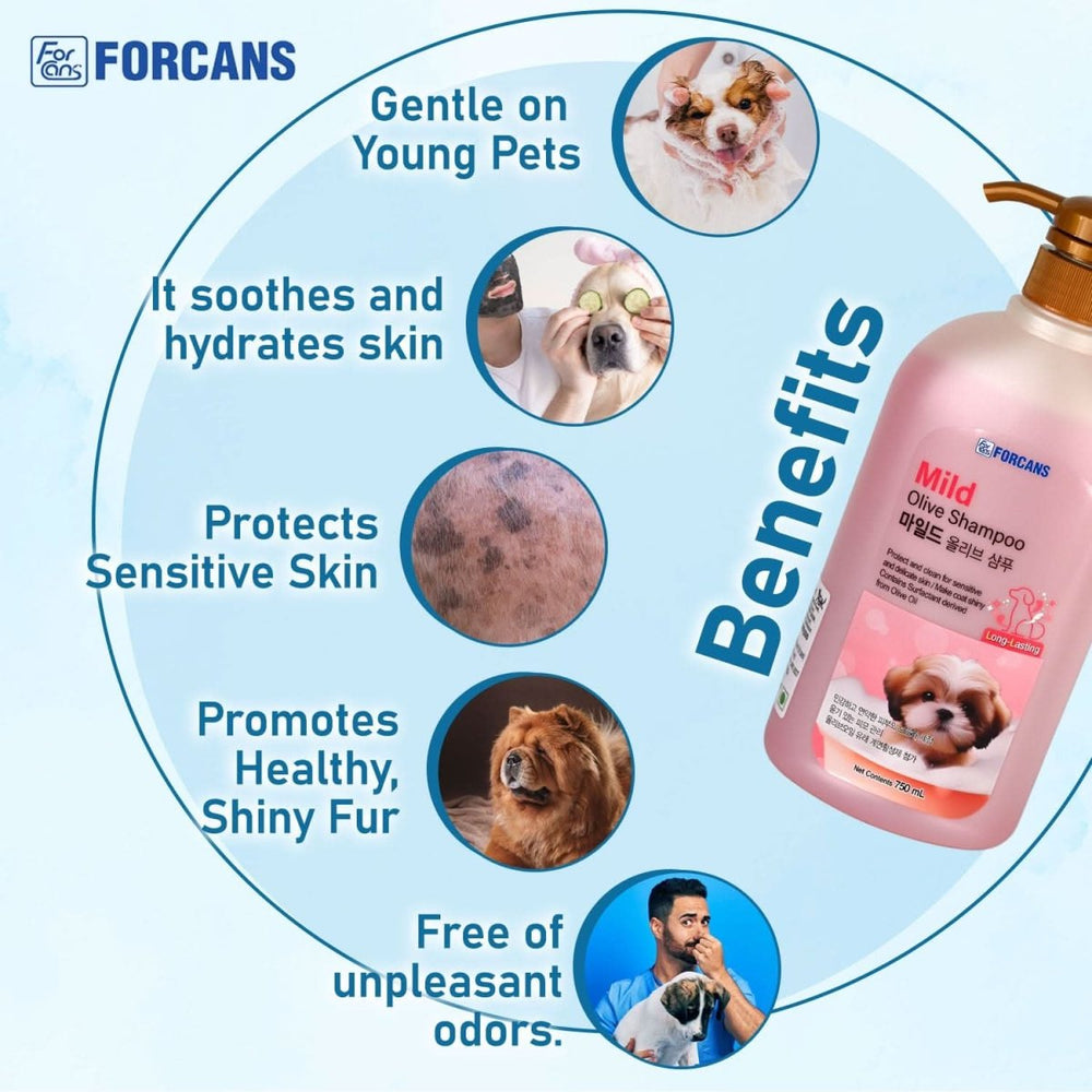 Forcans Mild Olive Shampoo for Puppies & Kitten, 750 ml - dspetstore.com