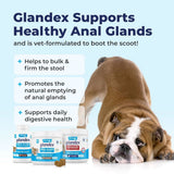 Glandex Anal Gland & Digestive Support for Dogs (30 Chews) - dspetstore.com