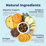 Glandex Anal Gland & Digestive Support for Dogs (30 Chews) - dspetstore.com
