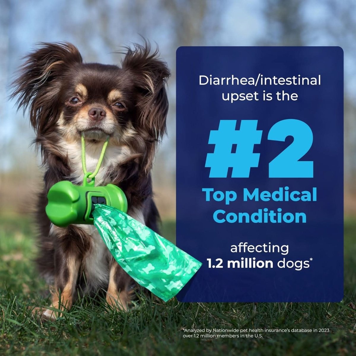 Glandex Anal Gland & Digestive Support for Dogs (30 Chews) - dspetstore.com