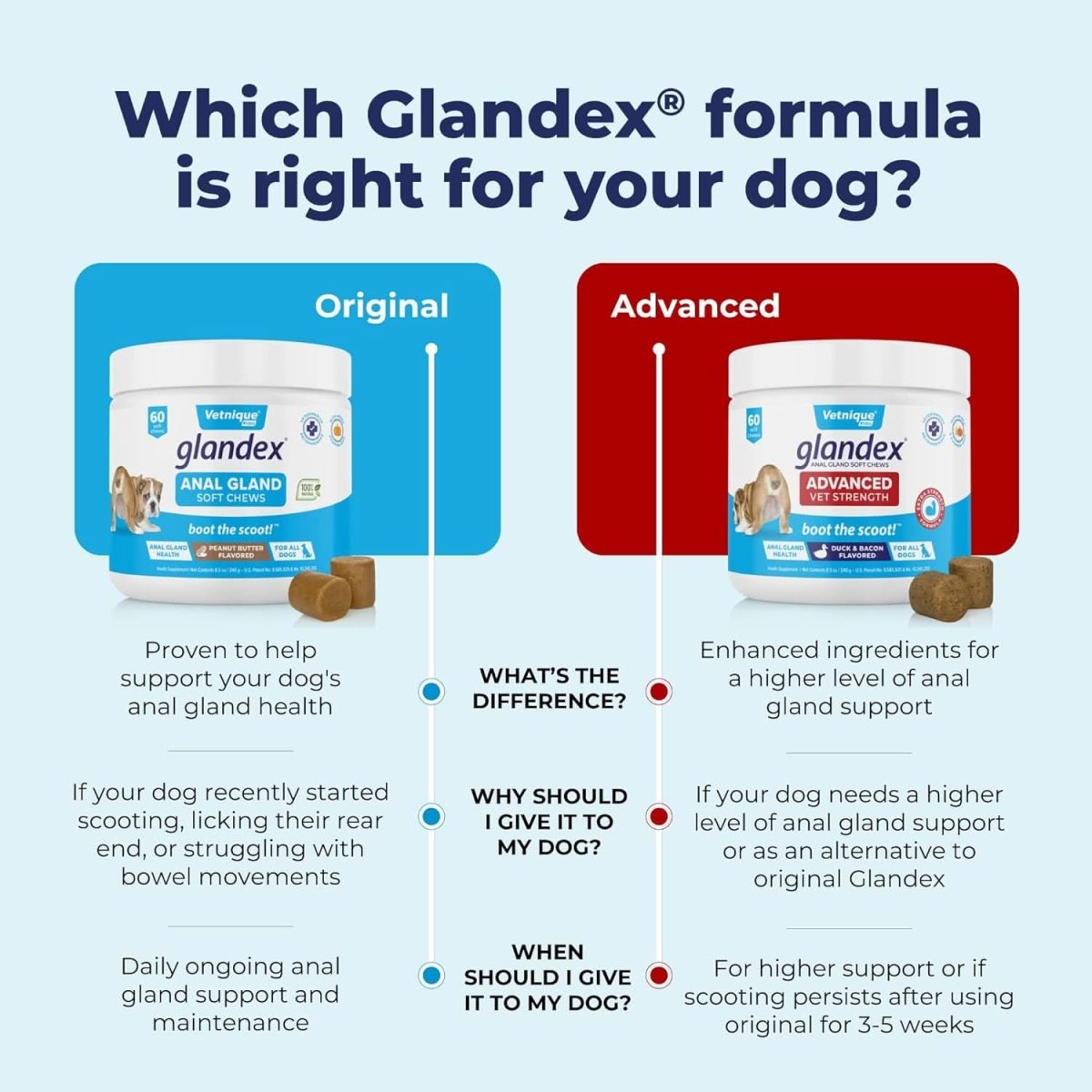 Glandex Anal Gland & Digestive Support for Dogs (30 Chews) - dspetstore.com