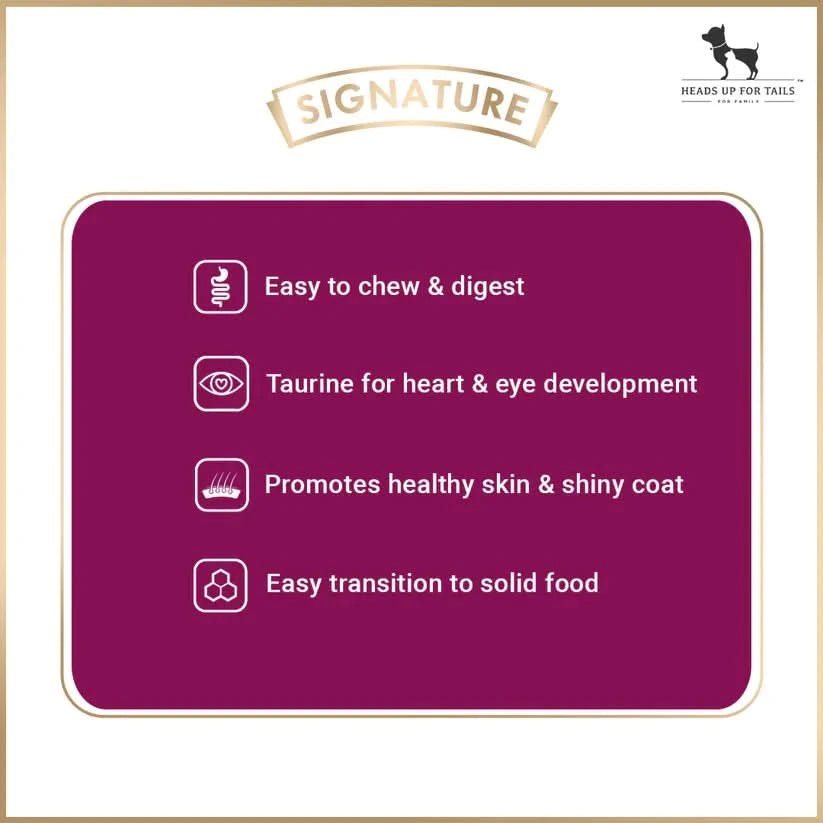 Grain Zero Signature Kitten Dry Food - dspetstore.com