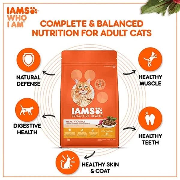 IAMS Adult Dry Cat Food (1+ Years) with Chicken - dspetstore.com