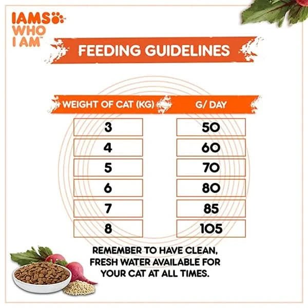 IAMS Adult Dry Cat Food (1+ Years) with Chicken - dspetstore.com