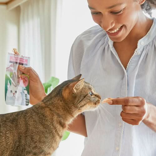 INABA Churu Chicken Fillet Chicken In Shrimp Broth Cat Treats USA555A, 25 g (Pack of 1) - dspetstore.com