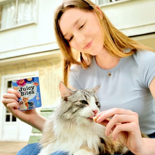 INABA Churu Juicy Bites Homestyle Broth and Calamari Flavor Cat Treats USA705A, 33.9 g (Pack of 1) - dspetstore.com