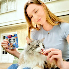INABA Churu Juicy Bites Homestyle Broth and Calamari Flavor Cat Treats USA705A, 33.9 g (Pack of 1) - dspetstore.com