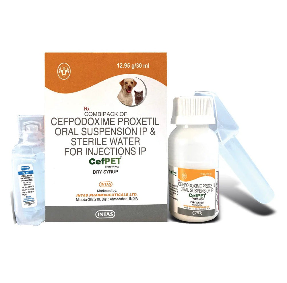 Intas Cefpet Dry Syrup (Cefpodoxime Proxetil) for Dogs and Cats (30ml) - dspetstore.com