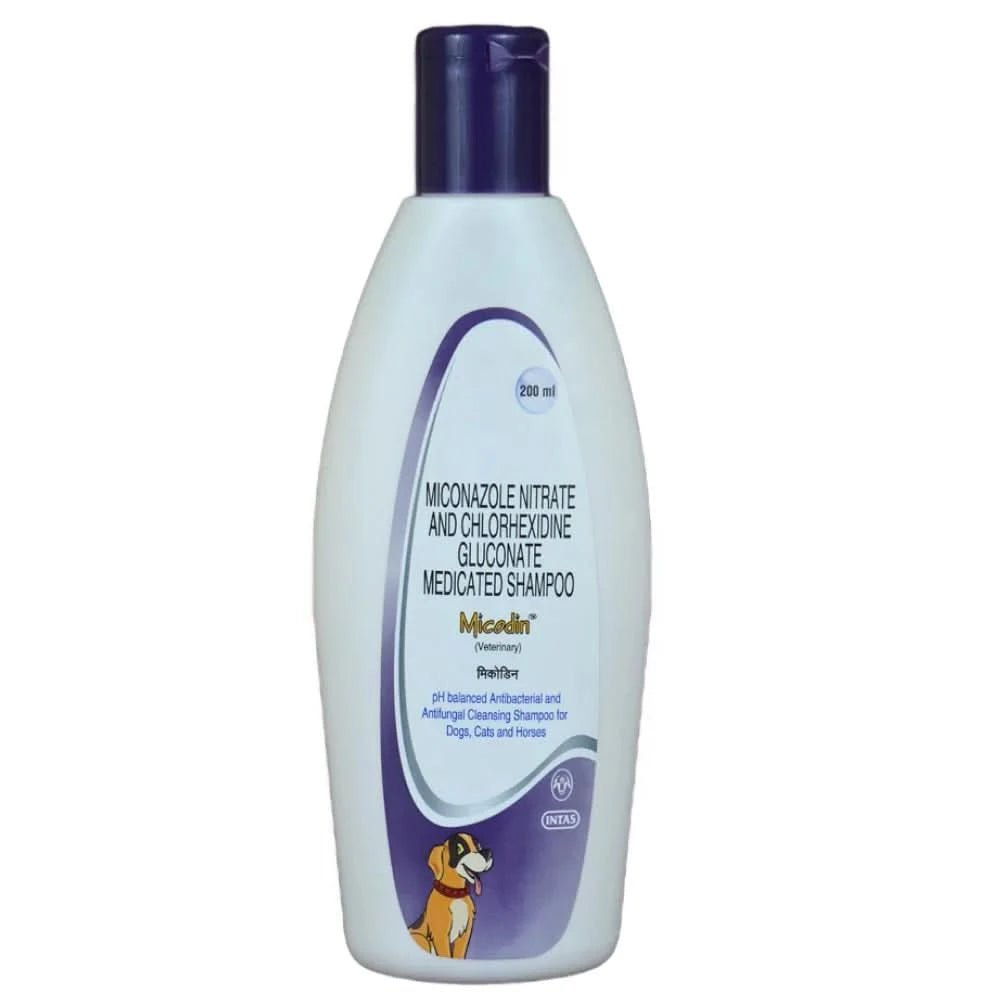 Intas Micodin Shampoo For Dogs - dspetstore.com