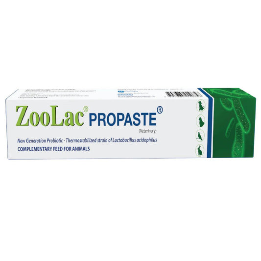 Intas Zoolac Propaste Probiotics for Dogs and Cats - dspetstore.com