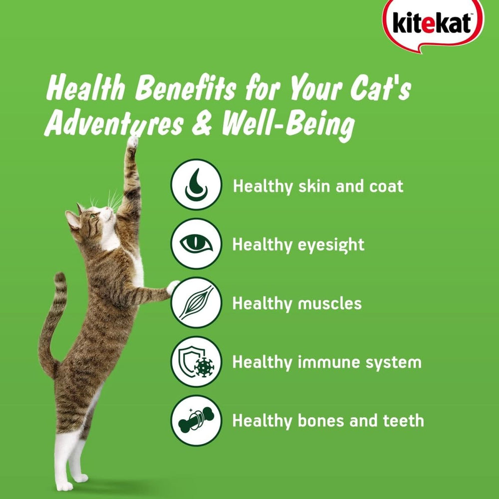 Kitekat Ocean Fish Adult Cat Dry Food - dspetstore.com