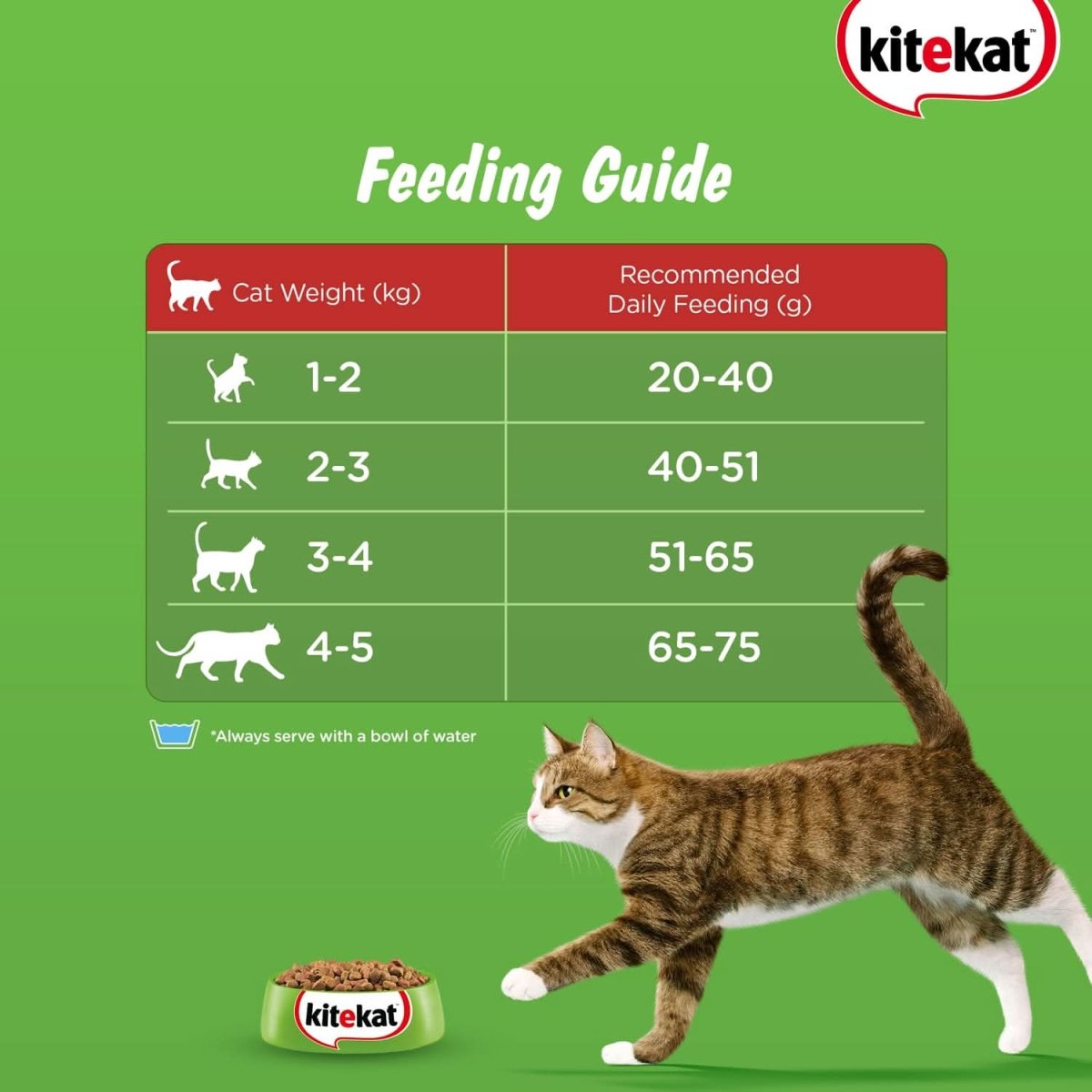 Kitekat Ocean Fish Adult Cat Dry Food - dspetstore.com