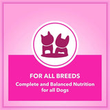 Lets Bite Active Adult Dog Food – 20kg (1kg Extra Free) - dspetstore.com