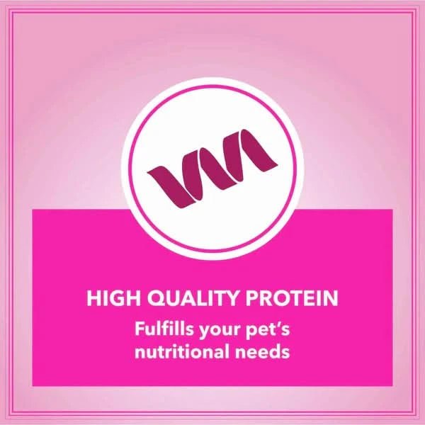 Let's Bite Active Adult Dry Dog Food - dspetstore.com