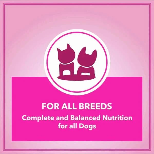 Let's Bite Active Adult Dry Dog Food - dspetstore.com