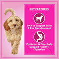 Let's Bite Active Adult Dry Dog Food - dspetstore.com