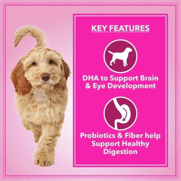 Let's Bite Active Adult Dry Dog Food - dspetstore.com