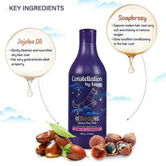 Lozalo Constellation Detangling Shampoo for Dogs – 375ml - dspetstore.com