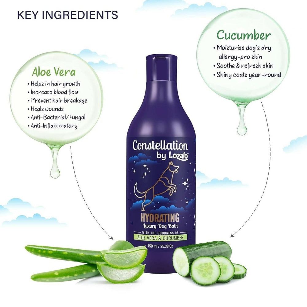 Lozalo Constellation Hydrating Shampoo for Dogs – 375ml - dspetstore.com