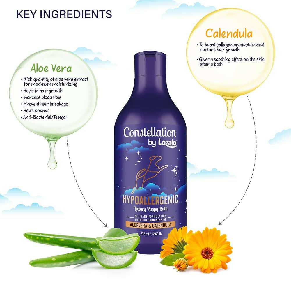 Lozalo Constellation Hypoallergenic Shampoo for Dogs – 375ml - dspetstore.com