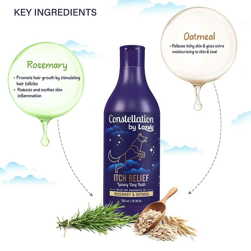 Lozalo Constellation Itch Relief Shampoo for Dogs – 375ml - dspetstore.com