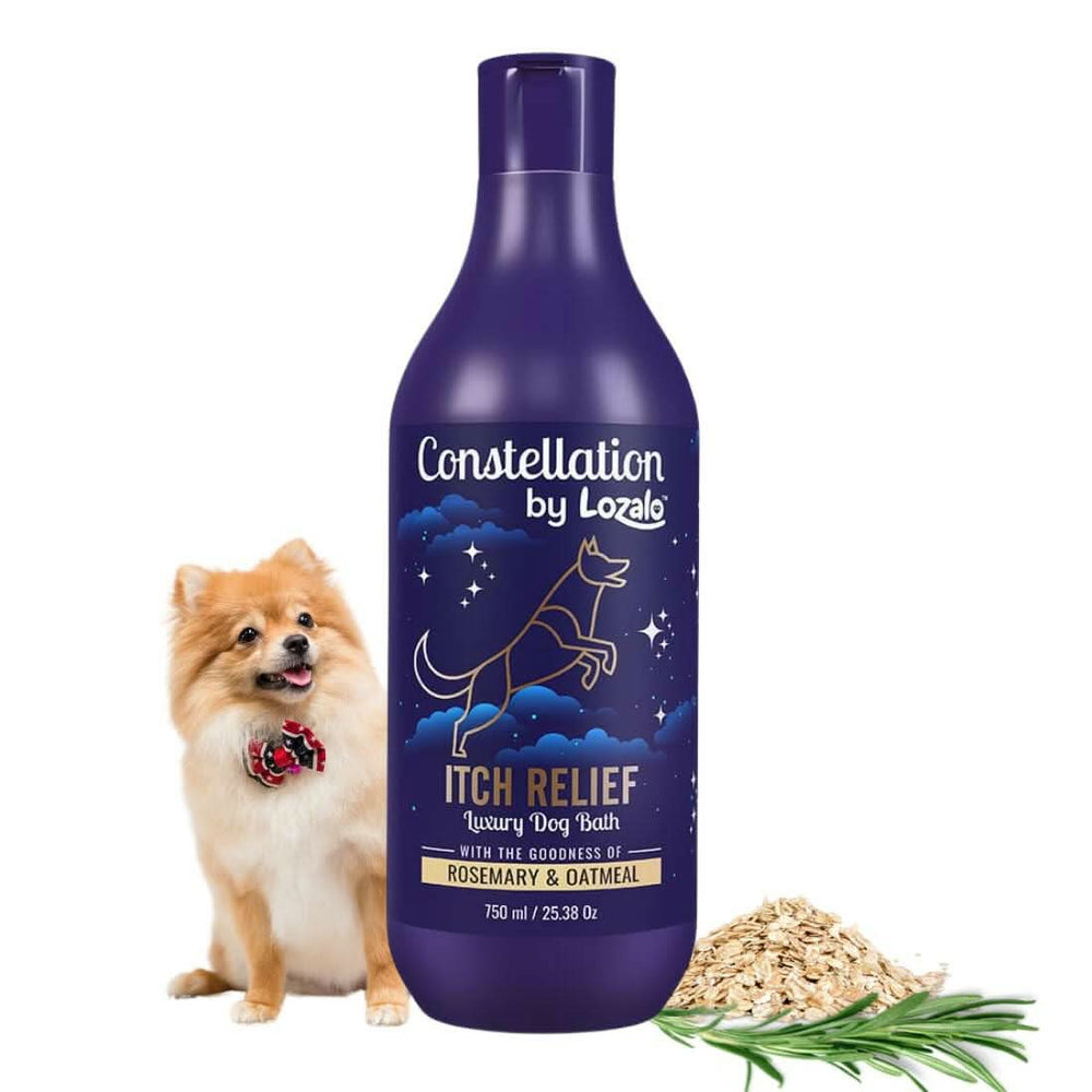 Lozalo Constellation Itch Relief Shampoo for Dogs – 375ml - dspetstore.com