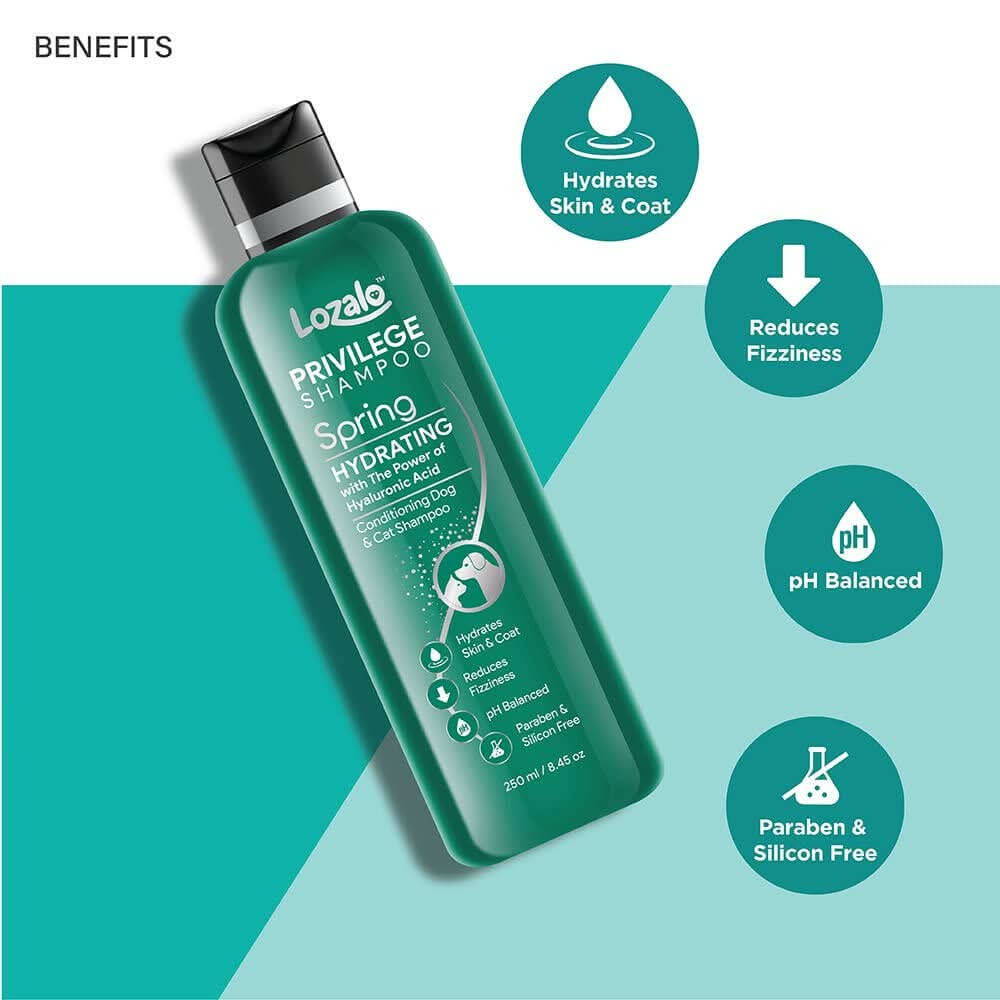 Lozalo Privilege Pet Shampoo Spring Shampoo with Hyaluronic Acid Eternal — For Cats & Dogs - dspetstore.com