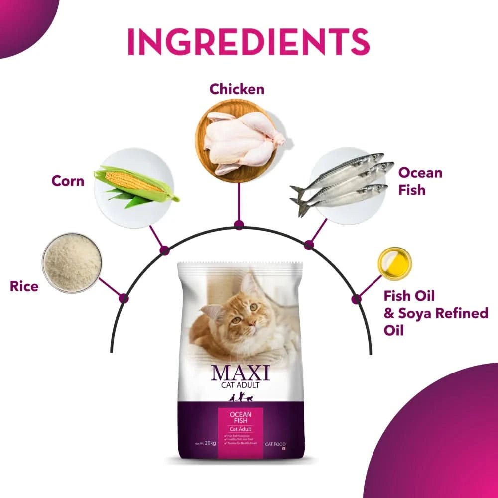 Maxi Adult Ocean Fish Dry Cat Food - dspetstore.com