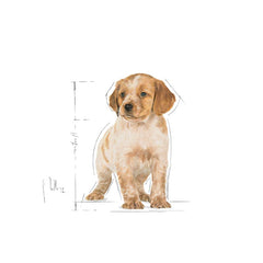 Royal Canin Medium Puppy Wet Dog Food.