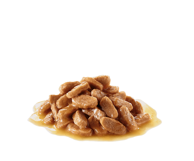 Royal Canin Medium Puppy Wet Dog Food.