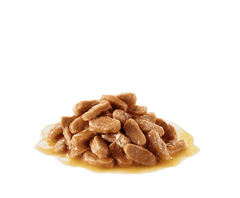Royal Canin Medium Puppy Wet Dog Food.