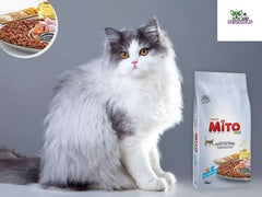 Mito Adult Cat Food Chicken & Fish, 1 kg - dspetstore.com