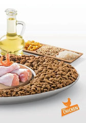 Mito Chicken Adult Cat Food, 1 kg - dspetstore.com