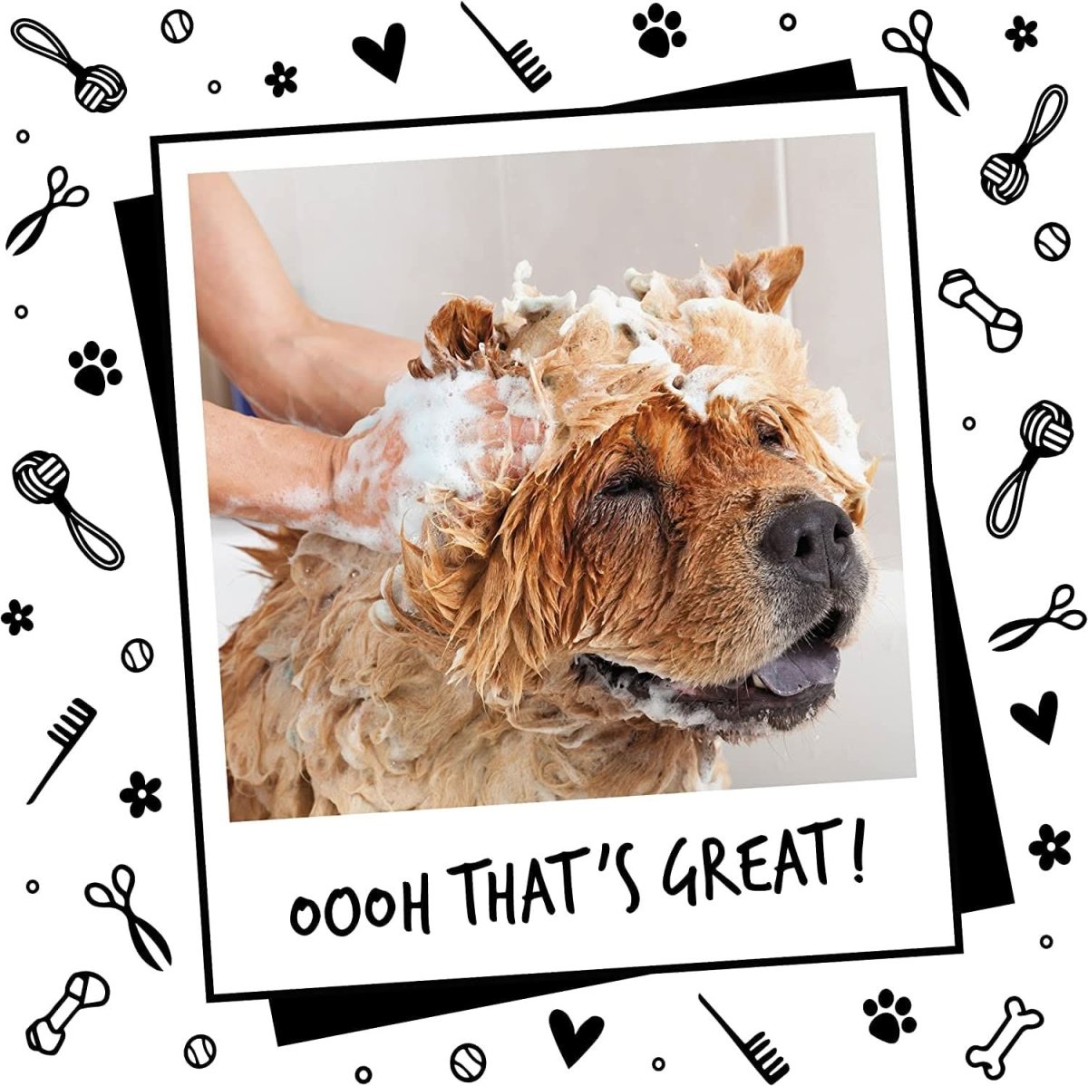 Oh My Dog Odour Control Ultimate Dog Shampoo – 1 LTR - dspetstore.com