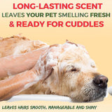 Oh My Dog Odour Control Ultimate Dog Shampoo – 1 LTR - dspetstore.com
