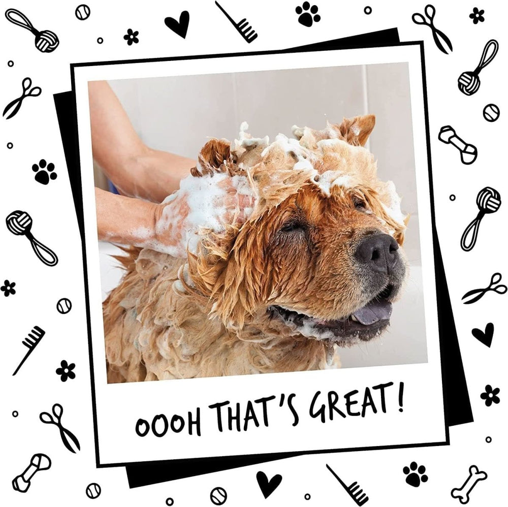 Oh My Dog Paraben Free Pet Shampoo for Puppies & Cats – 1000 ml - dspetstore.com