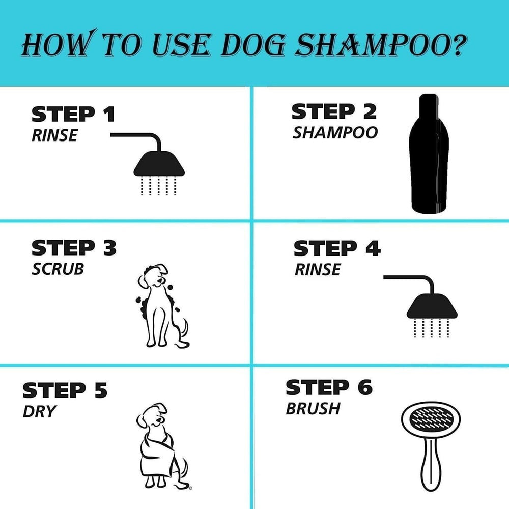 Oh My Dog Paraben Free Pet Shampoo for Puppies & Cats – 1000 ml - dspetstore.com