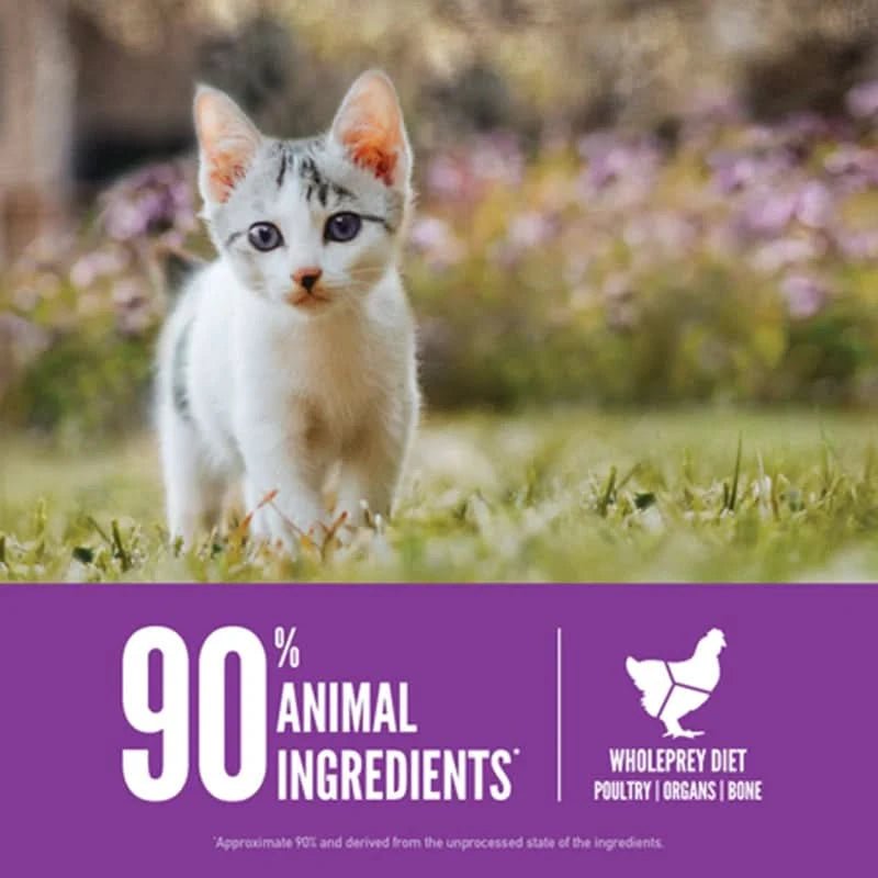 Orijen Kitten Dry Food - dspetstore.com