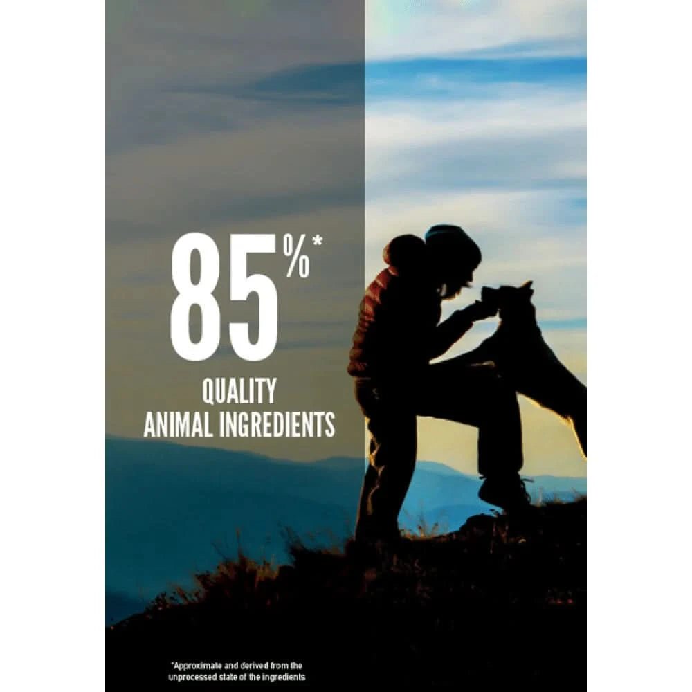 Orijen Original Dog Food - dspetstore.com