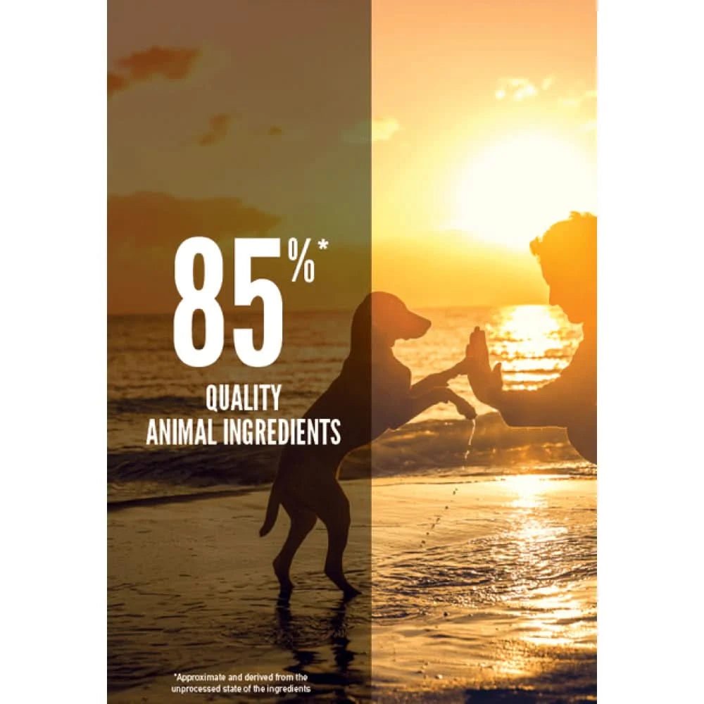 Orijen Puppy Small & Medium Breed Dry Dog Food - dspetstore.com