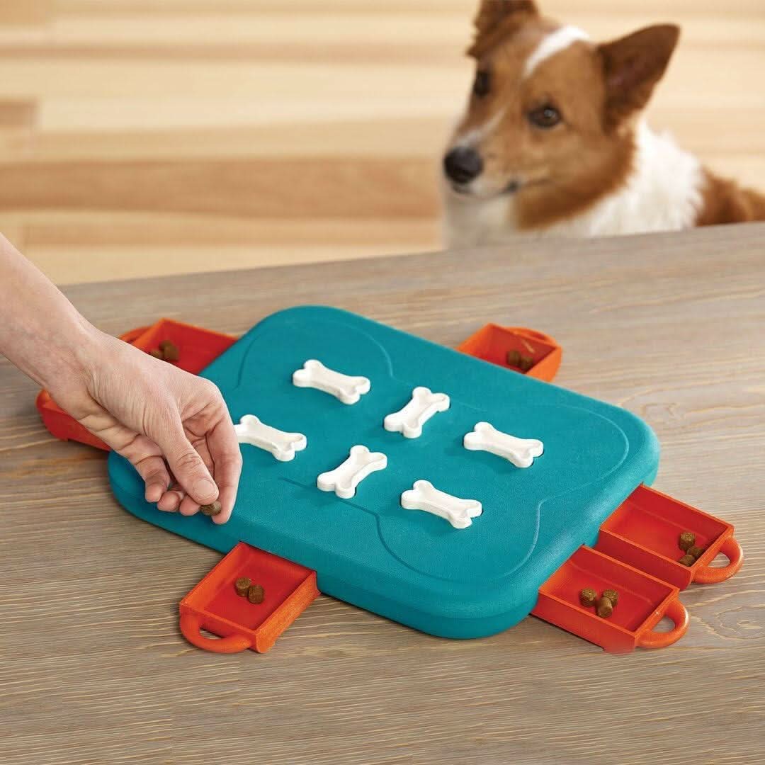 Outward Hound Nina Ottosson Dog Casino Interactive Puzzle Toy – Advanced - dspetstore.com